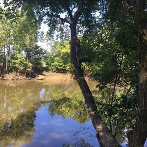 Meet your Posher, Mat